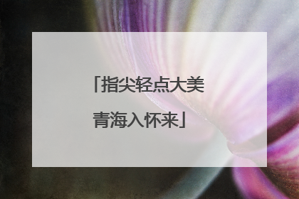 指尖轻点大美青海入怀来