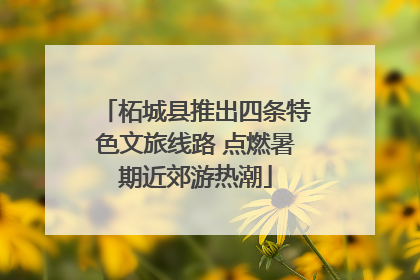 柘城县推出四条特色文旅线路 点燃暑期近郊游热潮