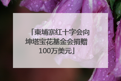 柬埔寨红十字会向坤塔宝花基金会捐赠100万美元