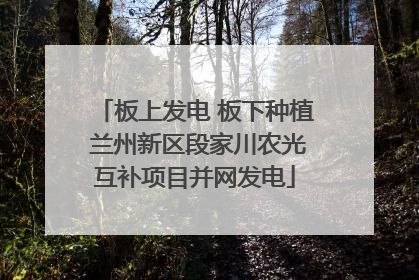 板上发电 板下种植 兰州新区段家川农光互补项目并网发电