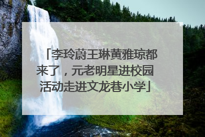 李玲蔚王琳黄雅琼都来了，元老明星进校园活动走进文龙巷小学