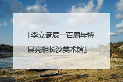 李立诞辰一百周年特展亮相长沙美术馆