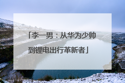 李一男：从华为少帅到锂电出行革新者
