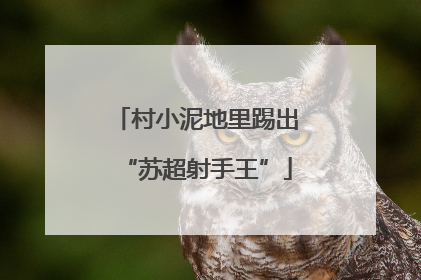 村小泥地里踢出“苏超射手王”