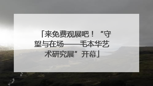 来免费观展吧！“守望与在场——毛本华艺术研究展”开幕