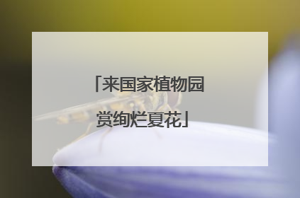 来国家植物园 赏绚烂夏花