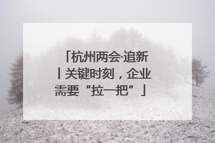 杭州两会·追新丨关键时刻，企业需要“拉一把”