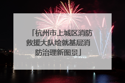 杭州市上城区消防救援大队绘就基层消防治理新图景