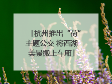 杭州推出“荷”主题公交 将西湖美景搬上车厢