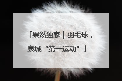 果然独家｜羽毛球，泉城“第一运动”