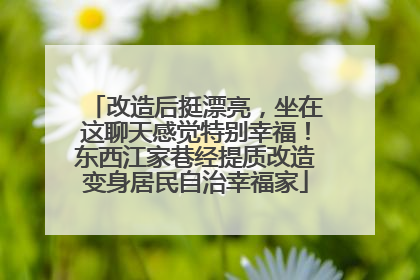 改造后挺漂亮，坐在这聊天感觉特别幸福！东西江家巷经提质改造变身居民自治幸福家