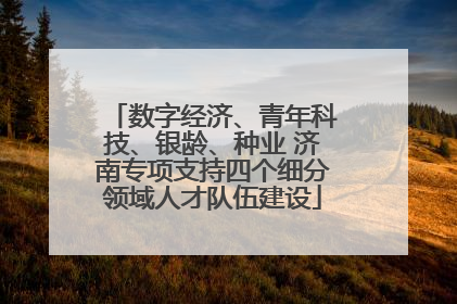 数字经济、青年科技、银龄、种业 济南专项支持四个细分领域人才队伍建设