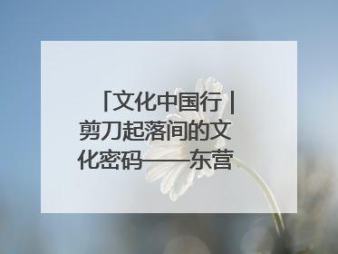 文化中国行｜剪刀起落间的文化密码——东营剪纸“剪”出非遗传承与现代生活的融合之道
