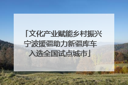 文化产业赋能乡村振兴 宁波援疆助力新疆库车入选全国试点城市