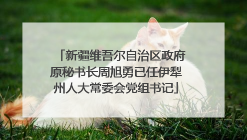 新疆维吾尔自治区政府原秘书长周旭勇已任伊犁州人大常委会党组书记
