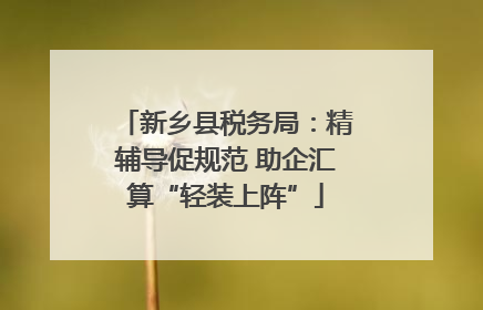 新乡县税务局：精辅导促规范 助企汇算“轻装上阵”