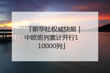 新华社权威快报｜中欧班列累计开行110000列