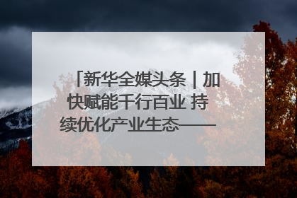 新华全媒头条｜加快赋能千行百业 持续优化产业生态——浙江推动人工智能健康有序发展观察