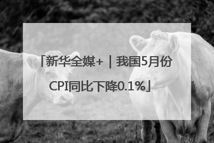 新华全媒+｜我国5月份CPI同比下降0.1%