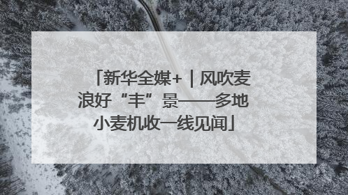 新华全媒+｜风吹麦浪好“丰”景——多地小麦机收一线见闻