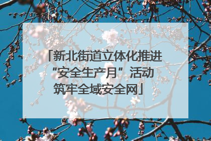 新北街道立体化推进“安全生产月”活动 筑牢全域安全网