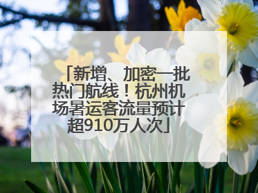 新增、加密一批热门航线！杭州机场暑运客流量预计超910万人次