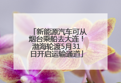 新能源汽车可从烟台乘船去大连！渤海轮渡5月31日开启运输通道