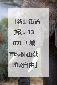 新虹街道拆违 1307㎡！城市绿肺重获呼吸自由