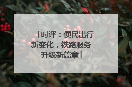 时评：便民出行新变化，铁路服务升级新篇章