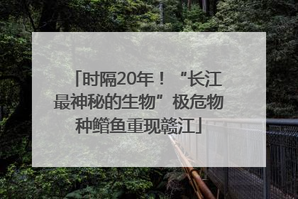 时隔20年！“长江最神秘的生物”极危物种鳤鱼重现赣江