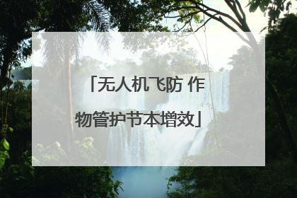 无人机飞防 作物管护节本增效