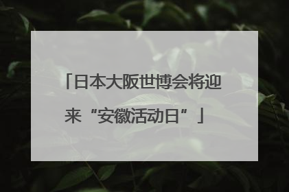 日本大阪世博会将迎来“安徽活动日”