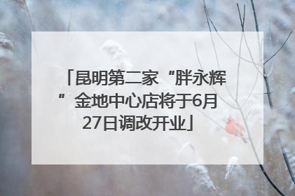 昆明第二家“胖永辉”金地中心店将于6月27日调改开业