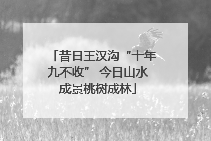 昔日王汉沟“十年九不收” 今日山水成景桃树成林