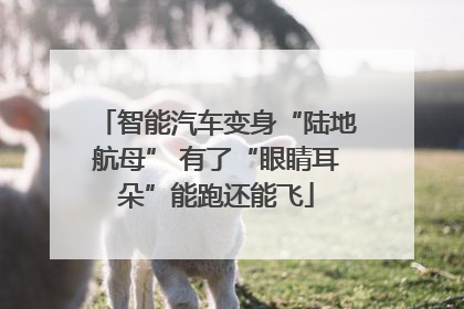 智能汽车变身“陆地航母” 有了“眼睛耳朵”能跑还能飞