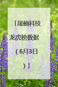 晟楠科技龙虎榜数据（6月3日）