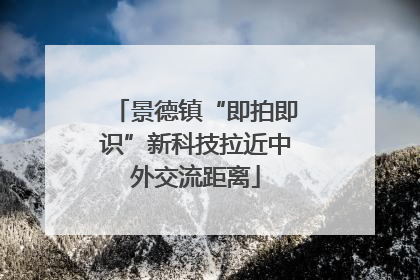 景德镇“即拍即识”新科技拉近中外交流距离