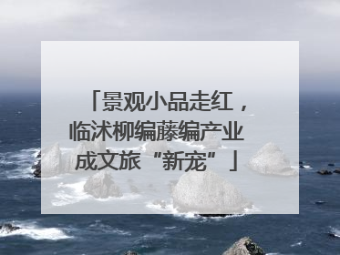 景观小品走红，临沭柳编藤编产业成文旅“新宠”