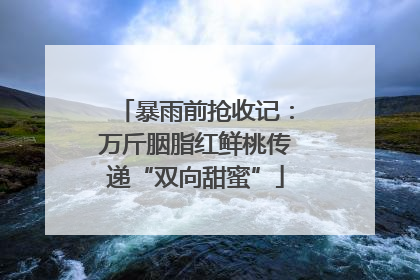 暴雨前抢收记：万斤胭脂红鲜桃传递“双向甜蜜”
