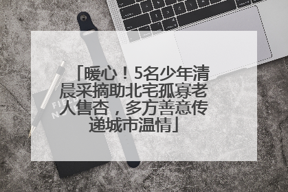 暖心！5名少年清晨采摘助北宅孤寡老人售杏，多方善意传递城市温情