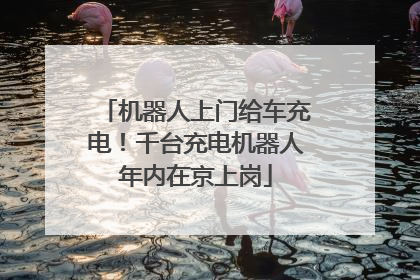 机器人上门给车充电！千台充电机器人年内在京上岗