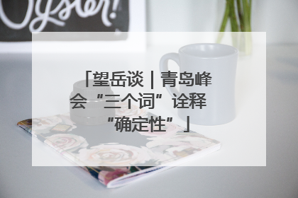 望岳谈｜青岛峰会“三个词”诠释“确定性”