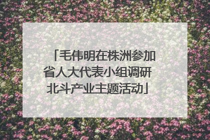 毛伟明在株洲参加省人大代表小组调研北斗产业主题活动