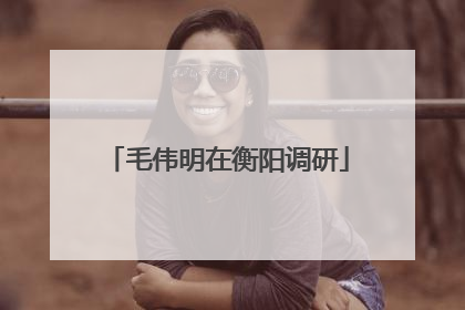 毛伟明在衡阳调研