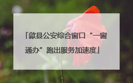 歙县公安综合窗口“一窗通办”跑出服务加速度