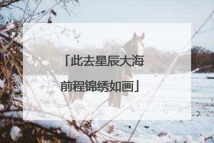 此去星辰大海 前程锦绣如画