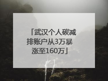 武汉个人碳减排账户从3万暴涨至160万