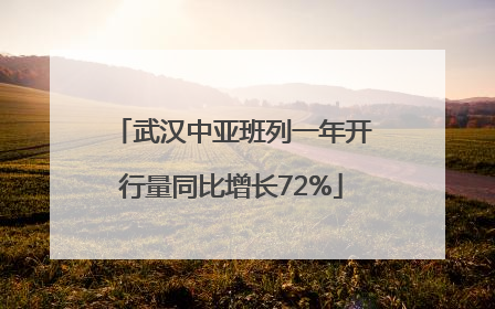武汉中亚班列一年开行量同比增长72%