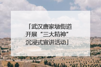 武汉唐家墩街道开展“三大精神”沉浸式宣讲活动