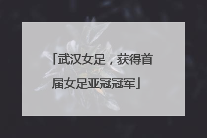 武汉女足，获得首届女足亚冠冠军